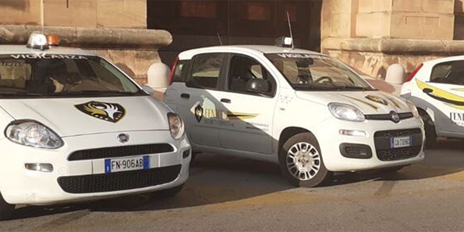 Ispettivo armato