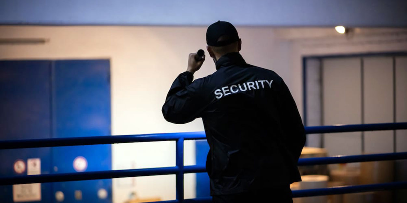 Vigilanza ispettiva